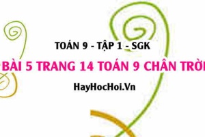 Bài 5 trang 14 Toán 9 tập 1 Chân trời sáng tạo SGK
